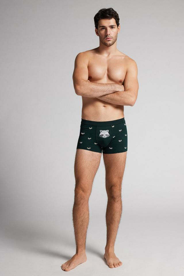 cueca boxer com estampa de guaxinim em algodão supima elástico - verde