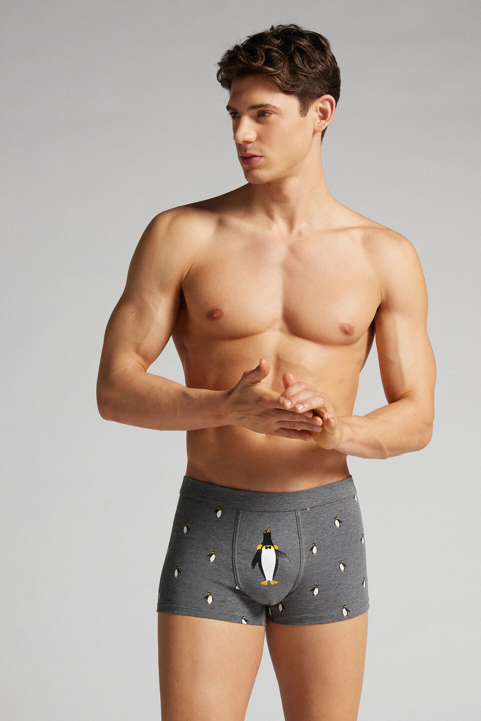 cueca boxer com estampa de pinguim em algodão supima - cinza