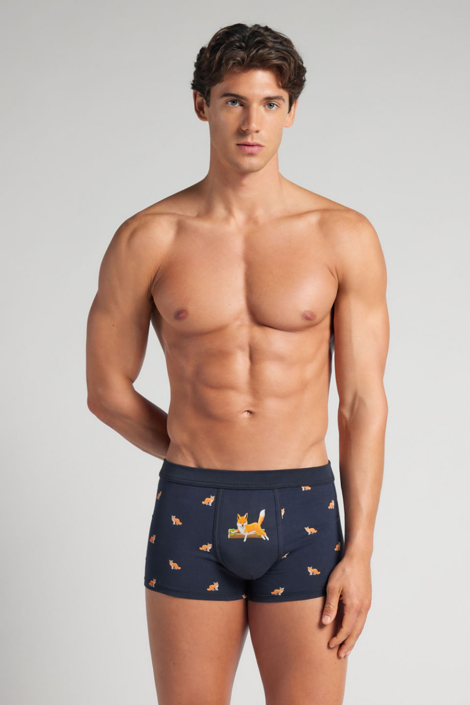 cueca boxer com estampa de raposa em algodão supima - azul