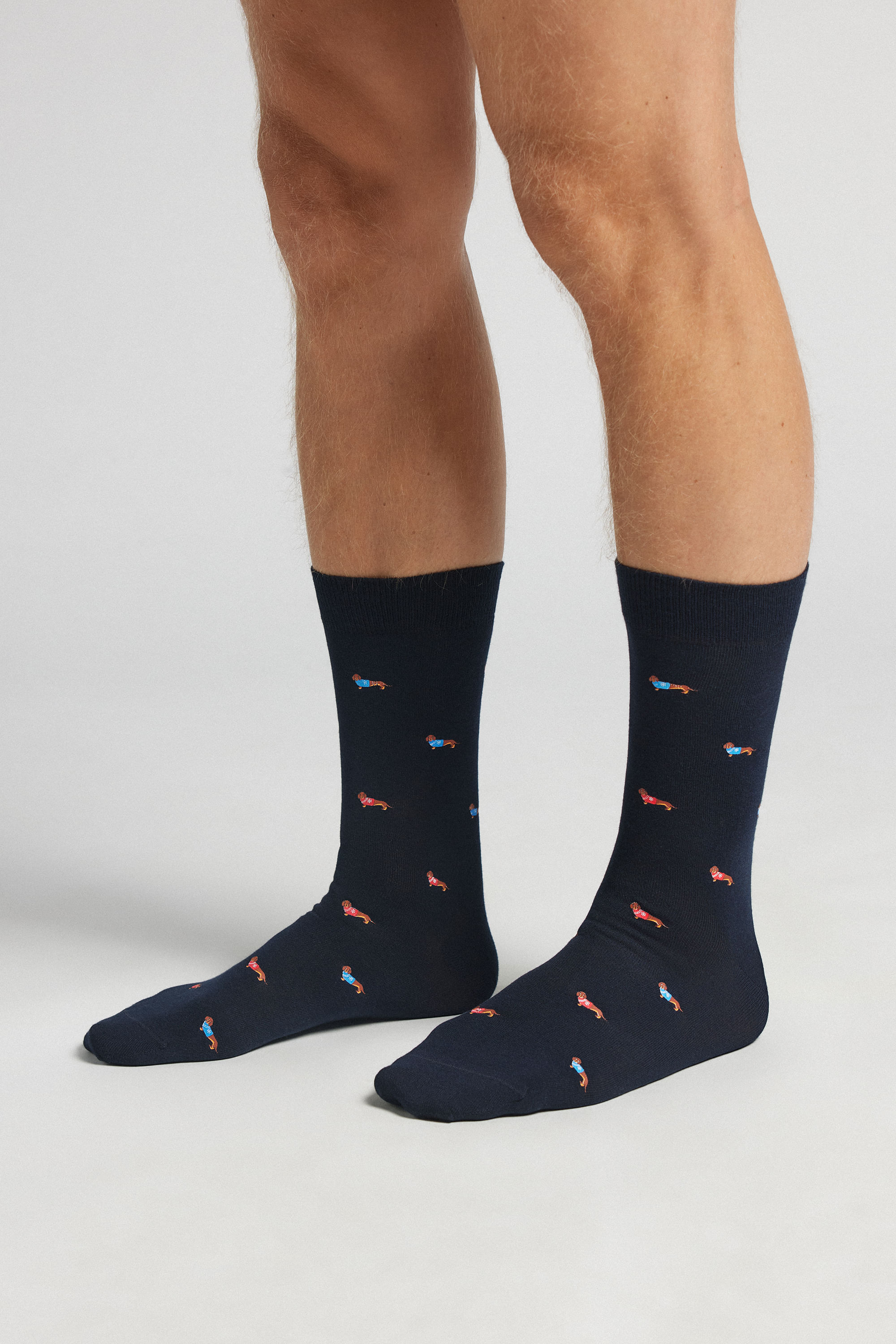 meias curtas em algodão soft - azul