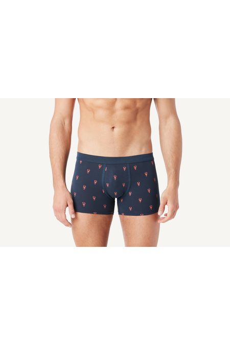 SBU776_7737_1-BOXERS-DE-ALGODAO-ELASTICO-ESTAMPADO-ALL-OVER