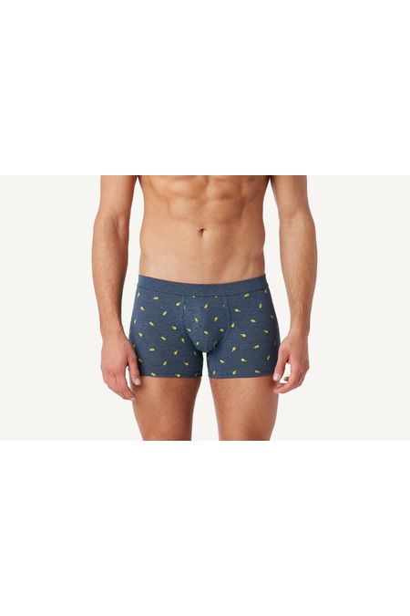 SBU776_9072_1-BOXERS-DE-ALGODAO-ELASTICO-ESTAMPADO-ALL-OVER