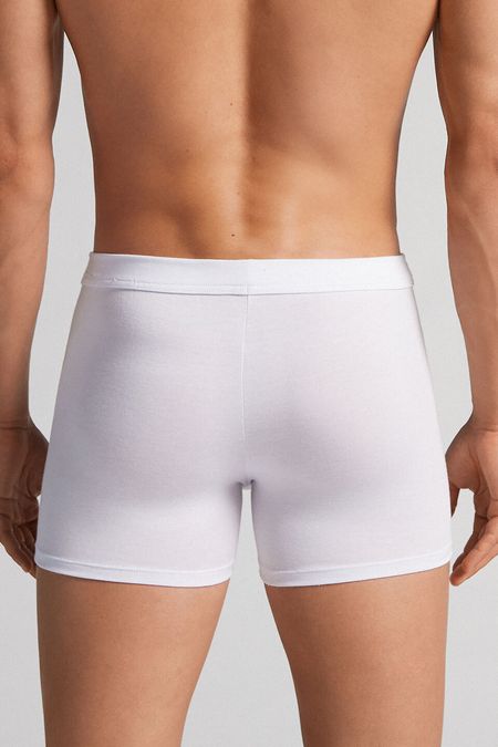 SBU23A_001_2-BOXERS-EM-MODAL-E-SEDA