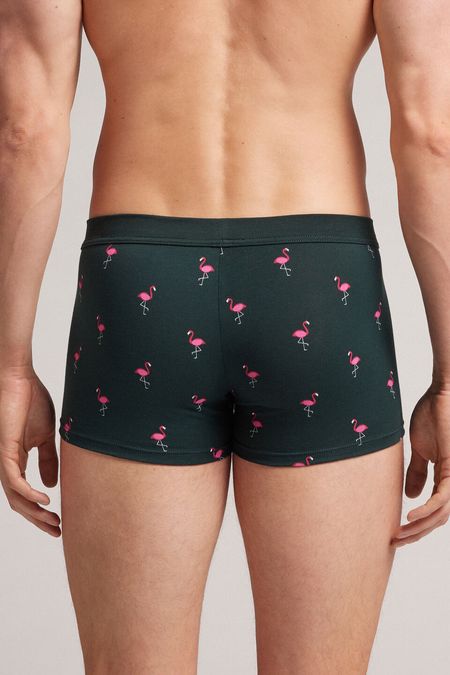 SBU026_601J_2-BOXERS-FLAMINGOS-EM-ALGODAO-NATURAL-FRESH